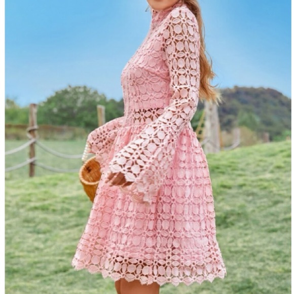 Luxurious mesh insert lace dress - Picture 2 of 6